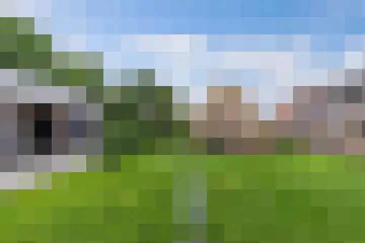 Zuiderend 80 Drachten thumbnail 51