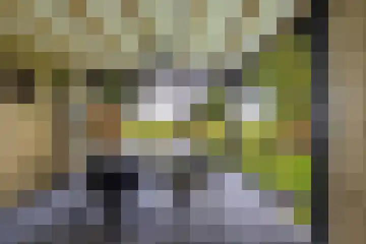 Zuiderend 80 Drachten thumbnail 56