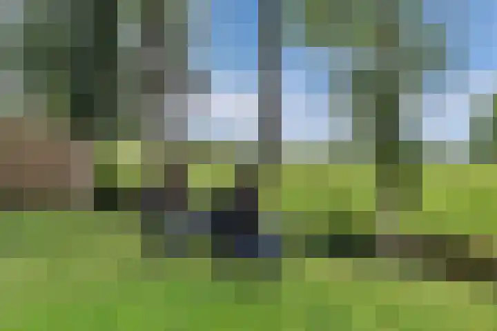 Zuiderend 80 Drachten thumbnail 57