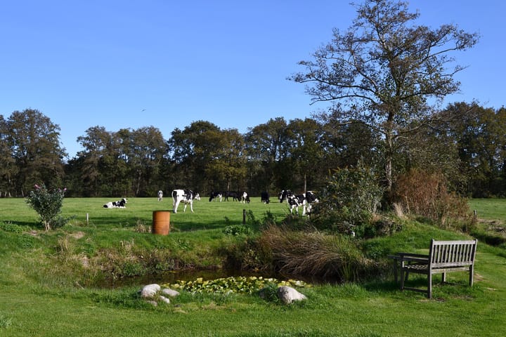 Zuiderhoeksweg 8 in Nuis foto