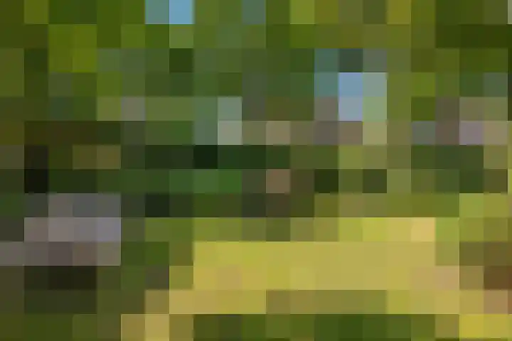 Zuiderkade 39 B Franeker thumbnail 8
