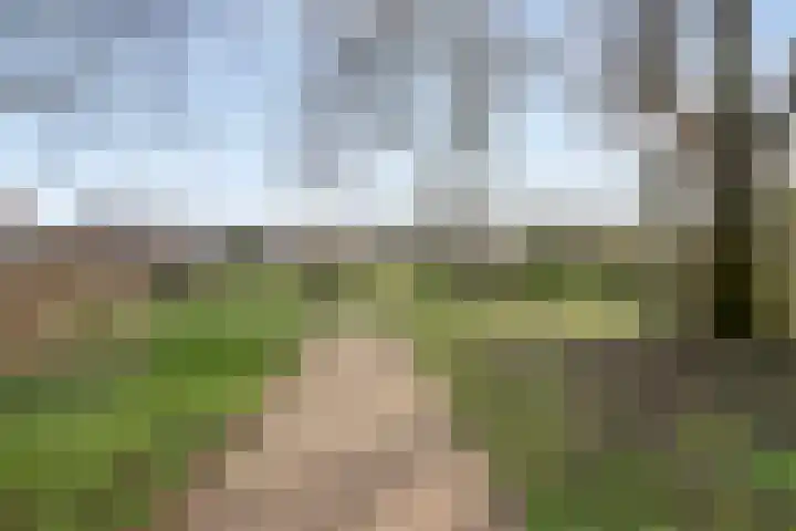 Zuiderkade 54 Franeker thumbnail 10