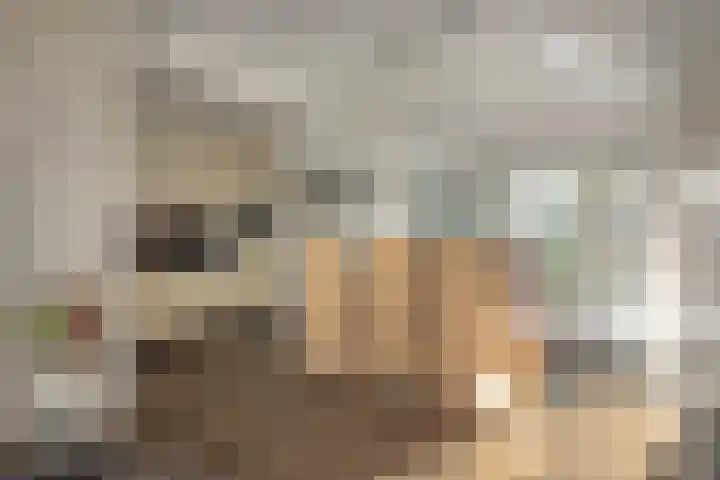Zuiderkade 54 Franeker thumbnail 13