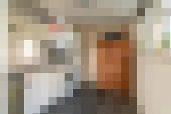Zuiderkade 54 Franeker thumbnail 17