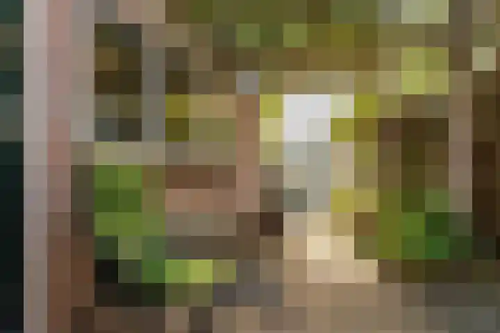 Zuiderkade 54 Franeker thumbnail 29