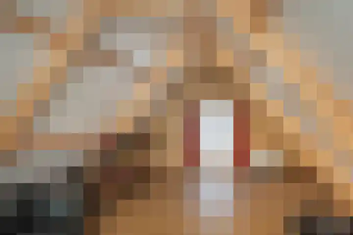 Zuiderkade 54 Franeker thumbnail 34