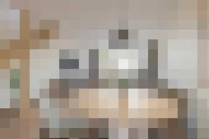 Zuiderkruis 37 Lisse thumbnail 10