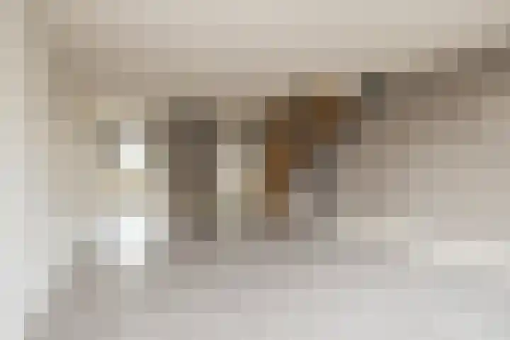 Zuiderkruis 37 Lisse thumbnail 12