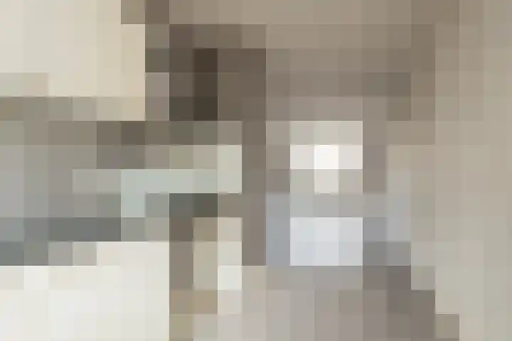 Zuiderkruis 37 Lisse thumbnail 14