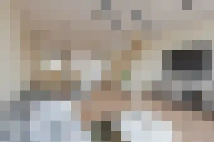 Zuiderkruis 37 Lisse thumbnail 15