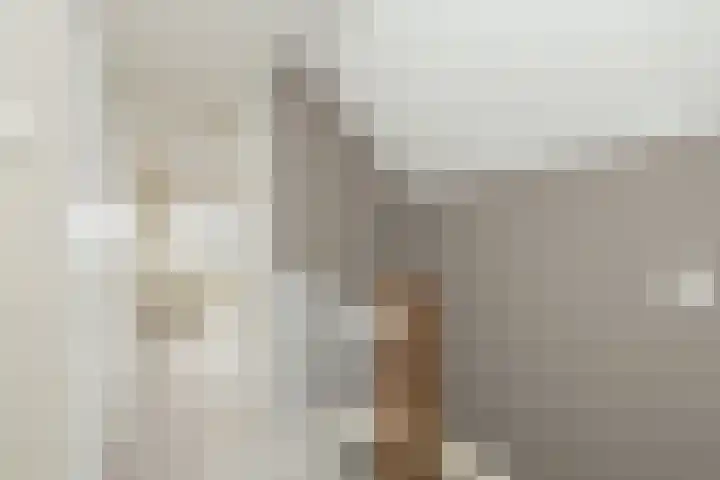 Zuiderkruis 37 Lisse thumbnail 20