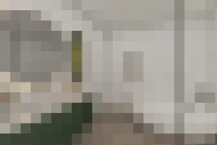 Zuiderkruis 37 Lisse thumbnail 28