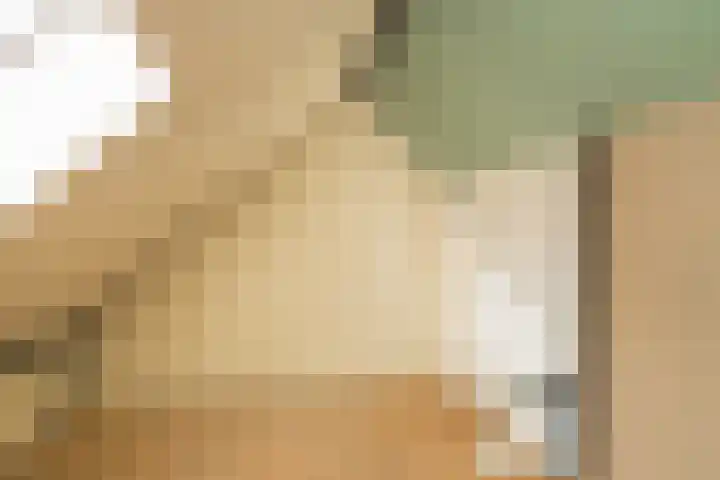 Zuiderkruis 37 Lisse thumbnail 32