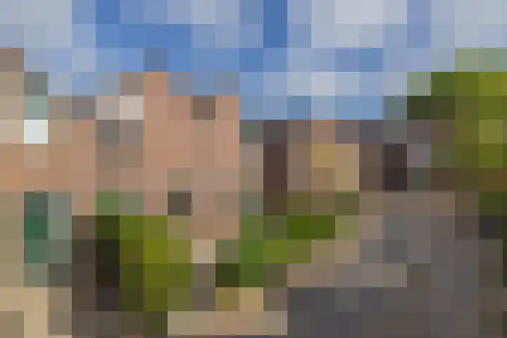 Zuiderkruis 37 Lisse thumbnail 33
