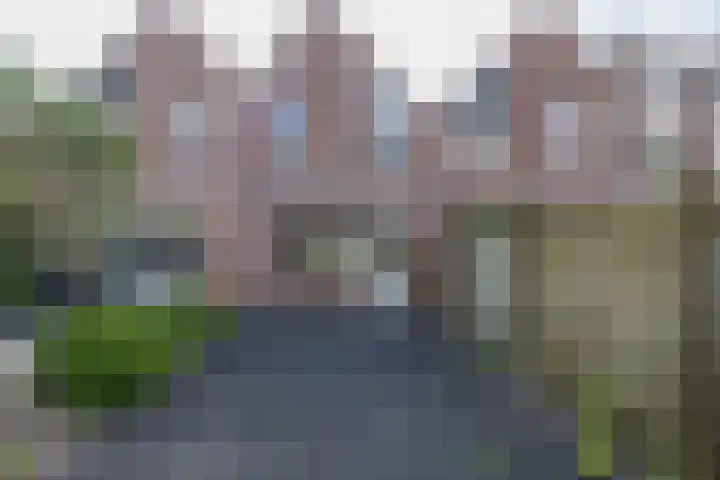 Zuiderkruis 37 Lisse thumbnail 4