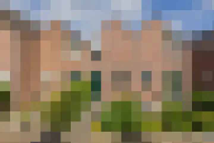 Zuiderkruis 37 Lisse thumbnail 40