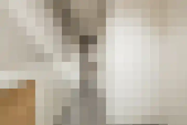 Zuiderkruis 37 Lisse thumbnail 7