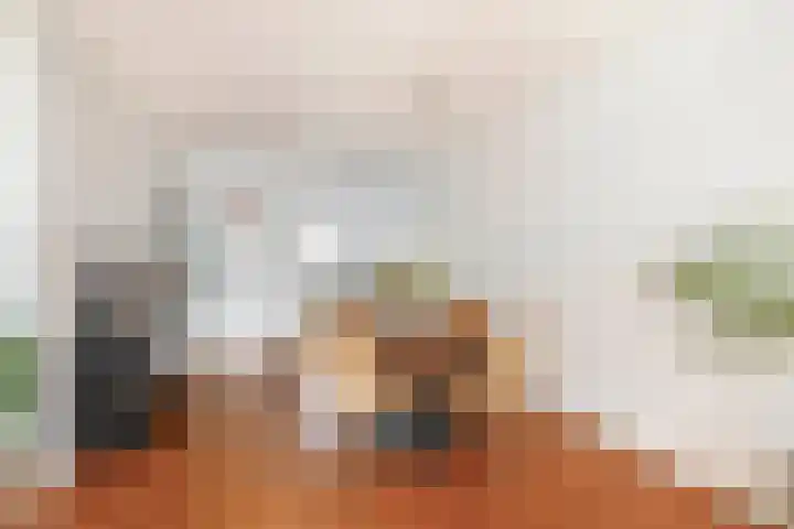 Zuiderkruis 91 Lisse thumbnail 10