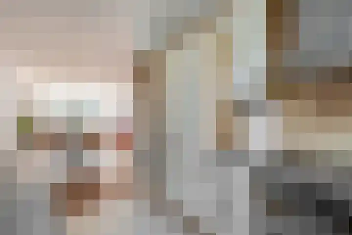Zuiderkruis 91 Lisse thumbnail 13