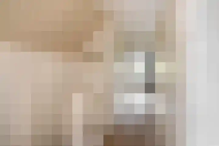 Zuiderkruis 91 Lisse thumbnail 17