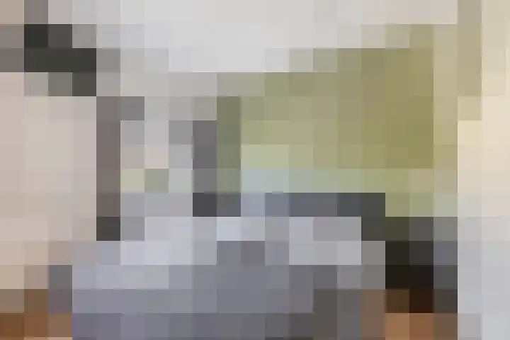 Zuiderkruis 91 Lisse thumbnail 18
