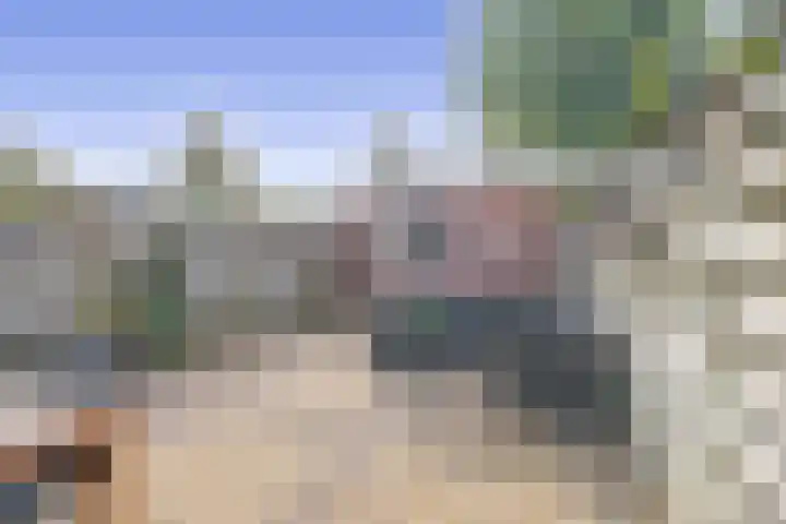 Zuiderkruis 91 Lisse thumbnail 27