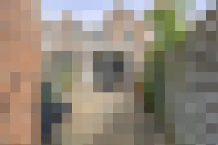 Zuiderkruis 91 Lisse thumbnail 29