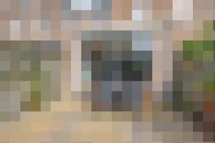 Zuiderkruis 91 Lisse thumbnail 30