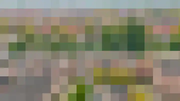 Zuiderkruis 91 Lisse thumbnail 33
