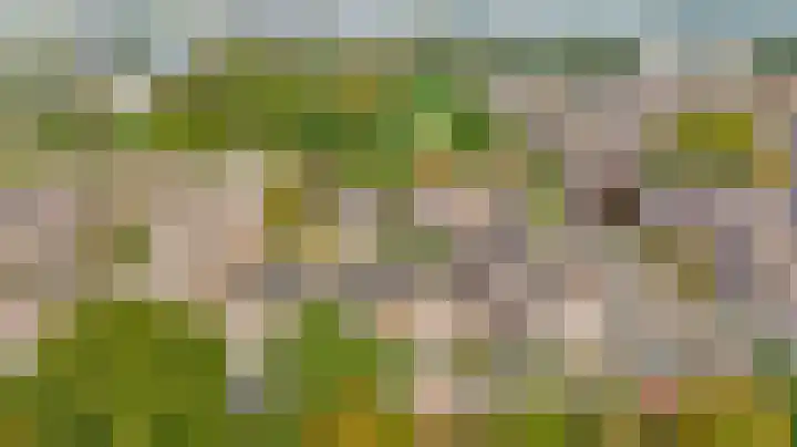 Zuiderkruis 91 Lisse thumbnail 35
