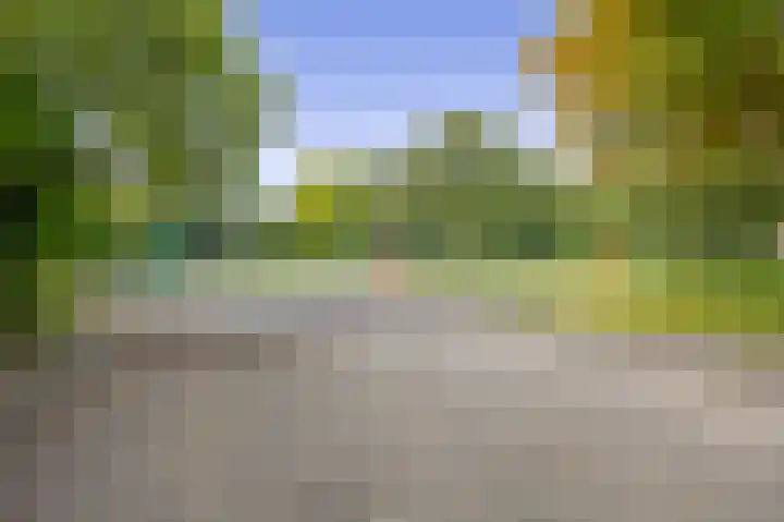 Zuiderkruis 91 Lisse thumbnail 37