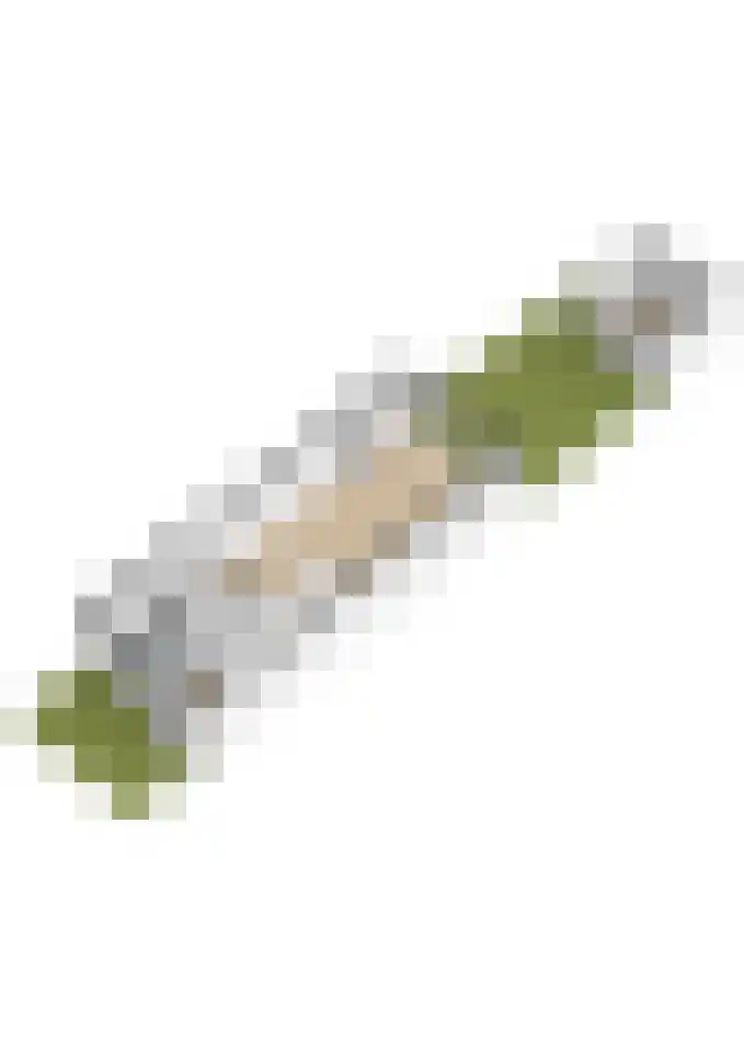 Zuiderkruis 91 Lisse thumbnail 47
