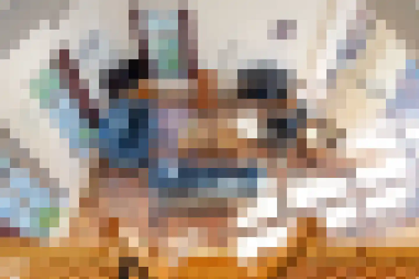 Zuiderlaan 8 Schraard thumbnail 13