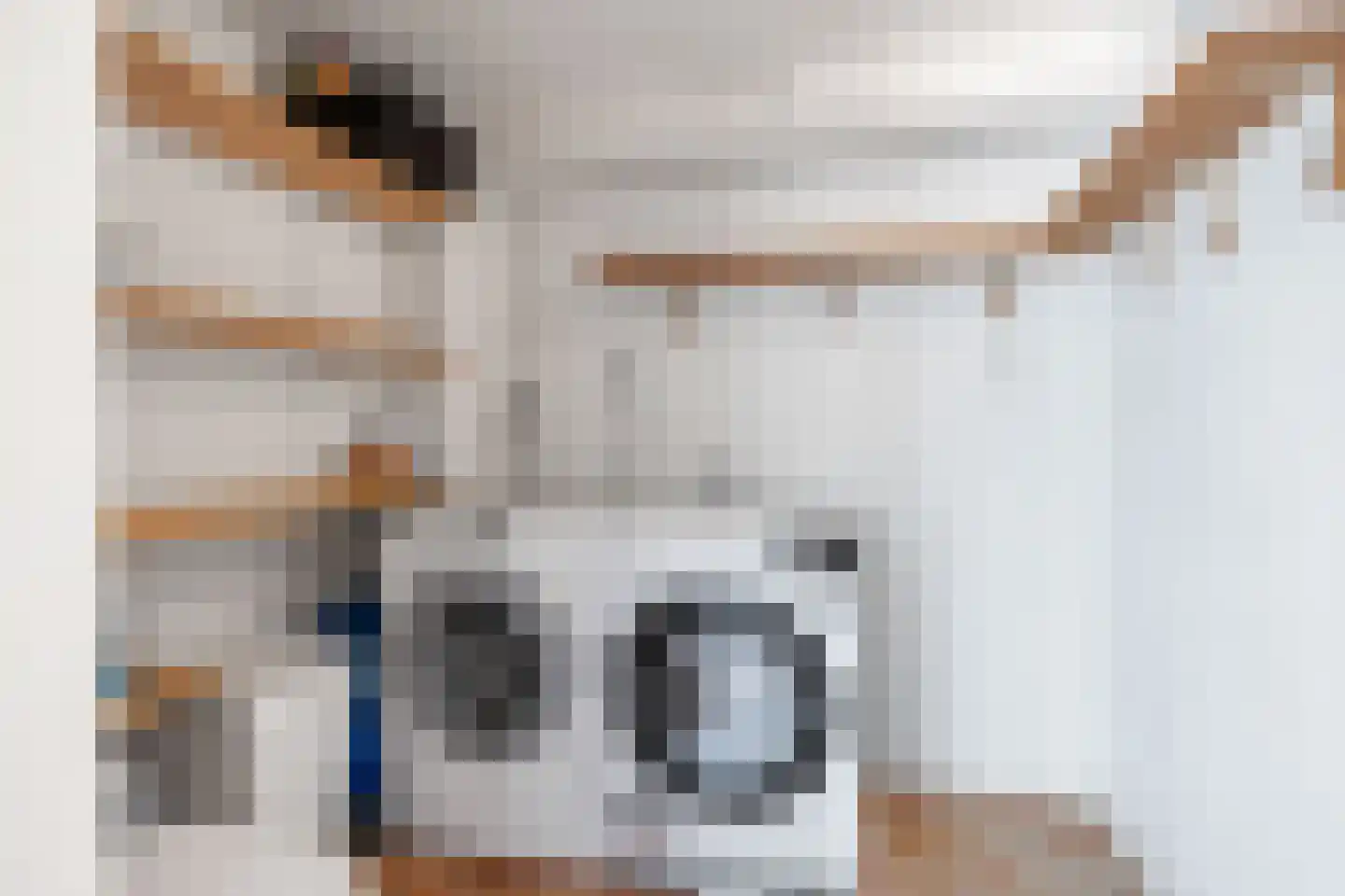 Zuiderlaan 8 Schraard thumbnail 20