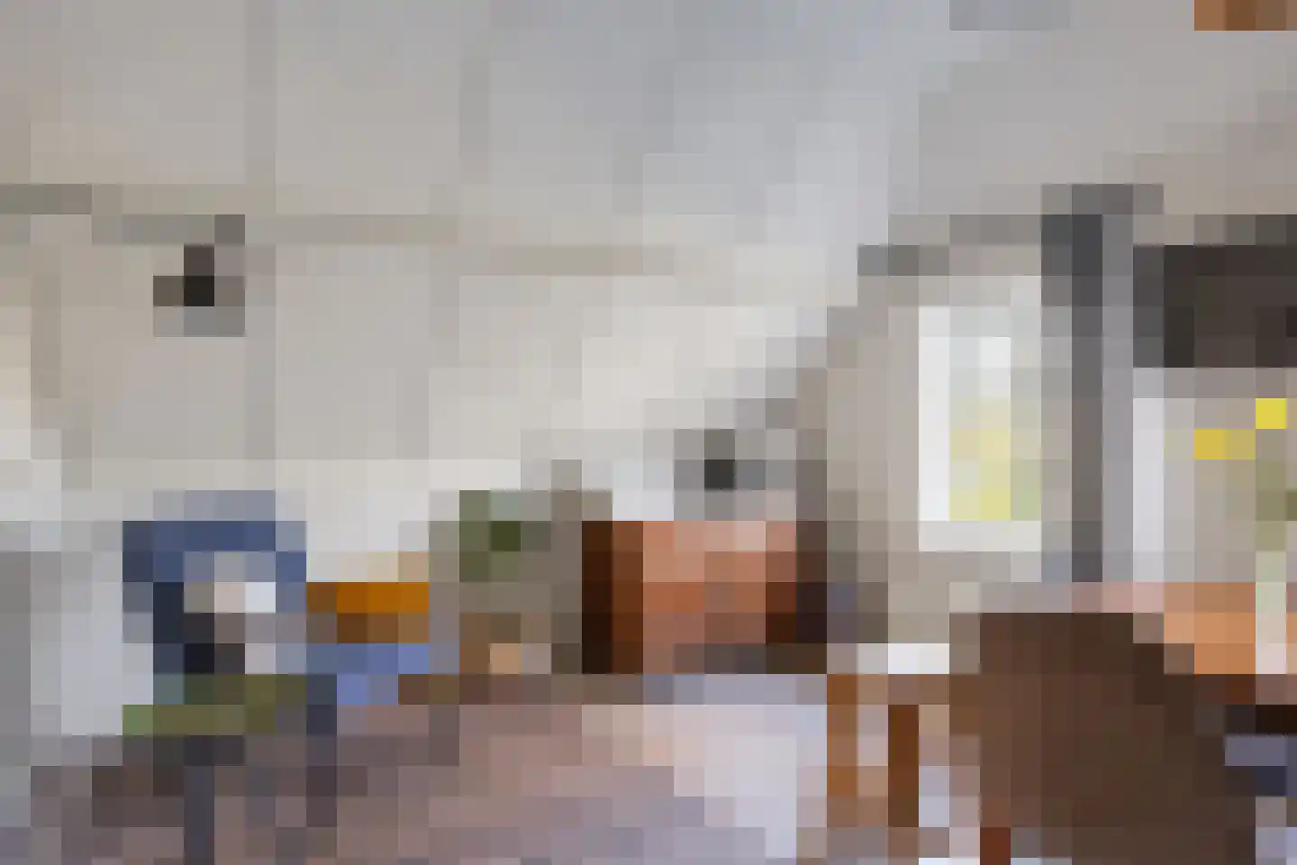 Zuiderlaan 8 Schraard thumbnail 29