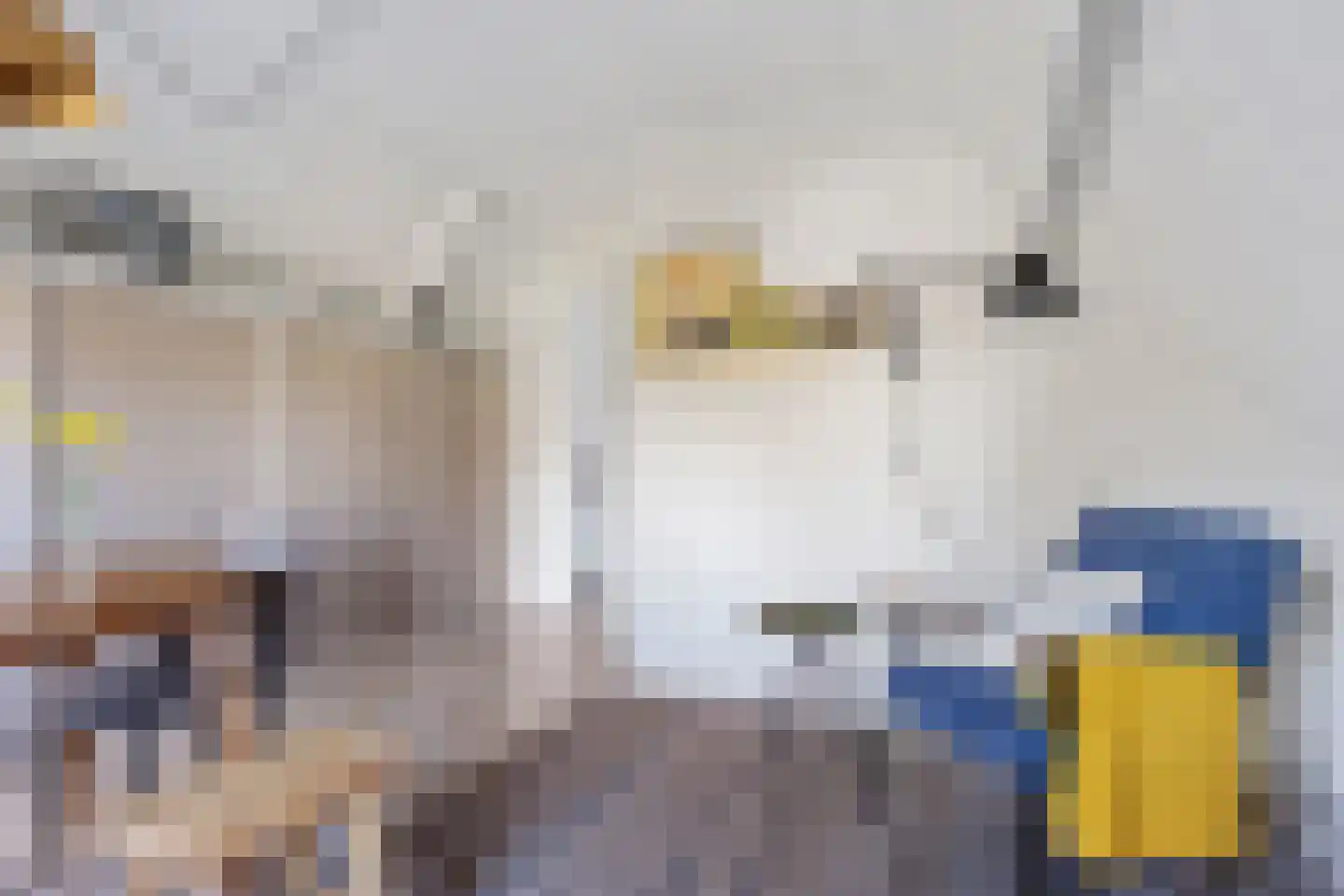 Zuiderlaan 8 Schraard thumbnail 30