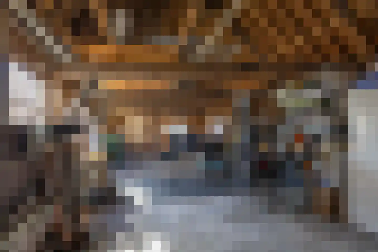 Zuiderlaan 8 Schraard thumbnail 38