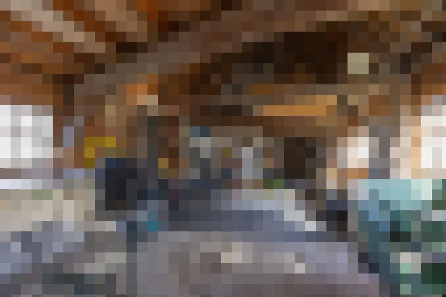 Zuiderlaan 8 Schraard thumbnail 39