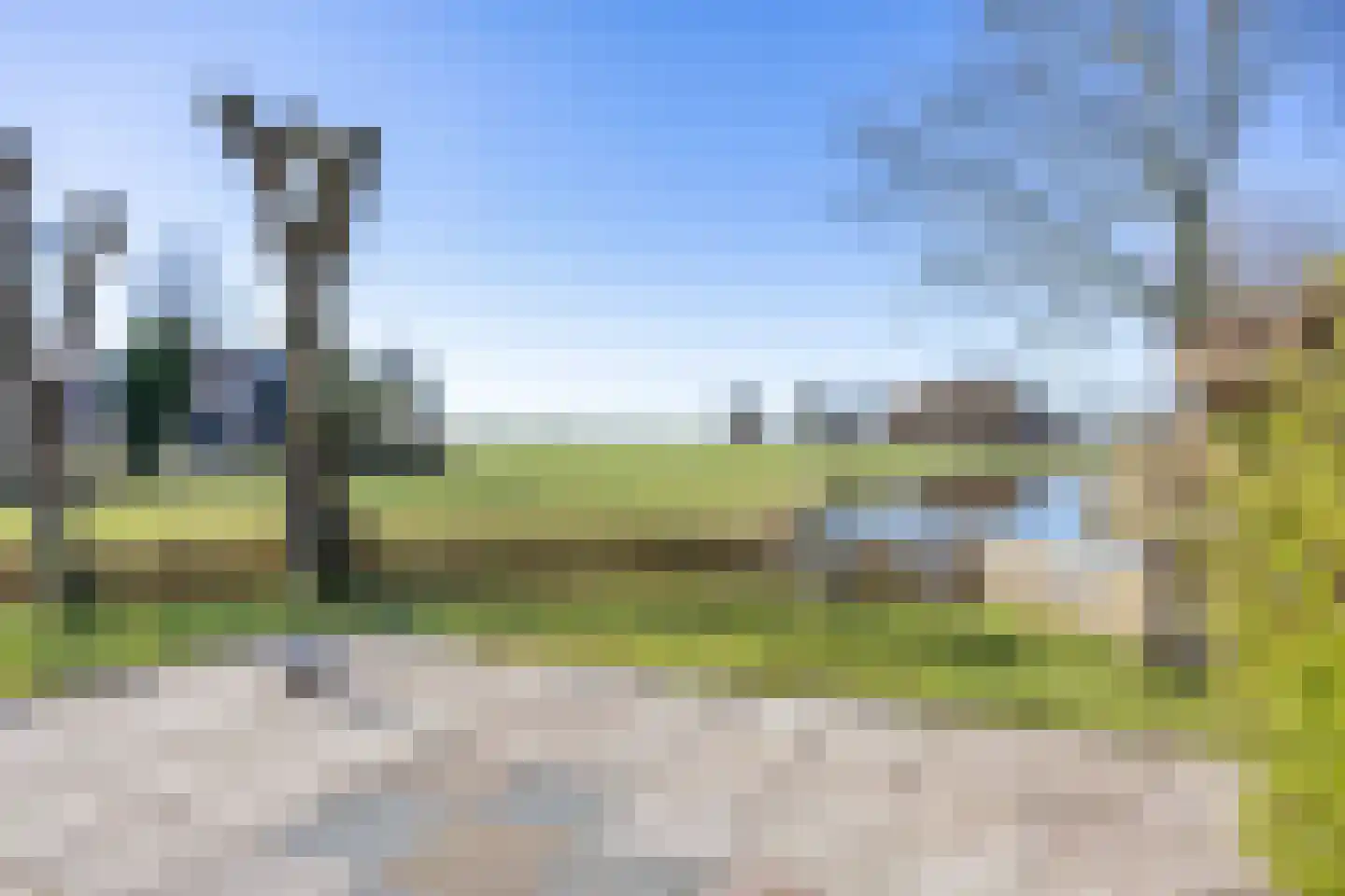 Zuiderlaan 8 Schraard thumbnail 44