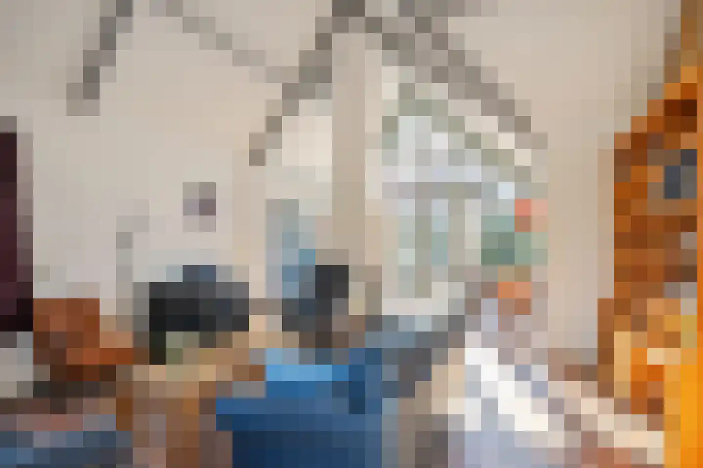 Zuiderlaan 8 Schraard thumbnail 5
