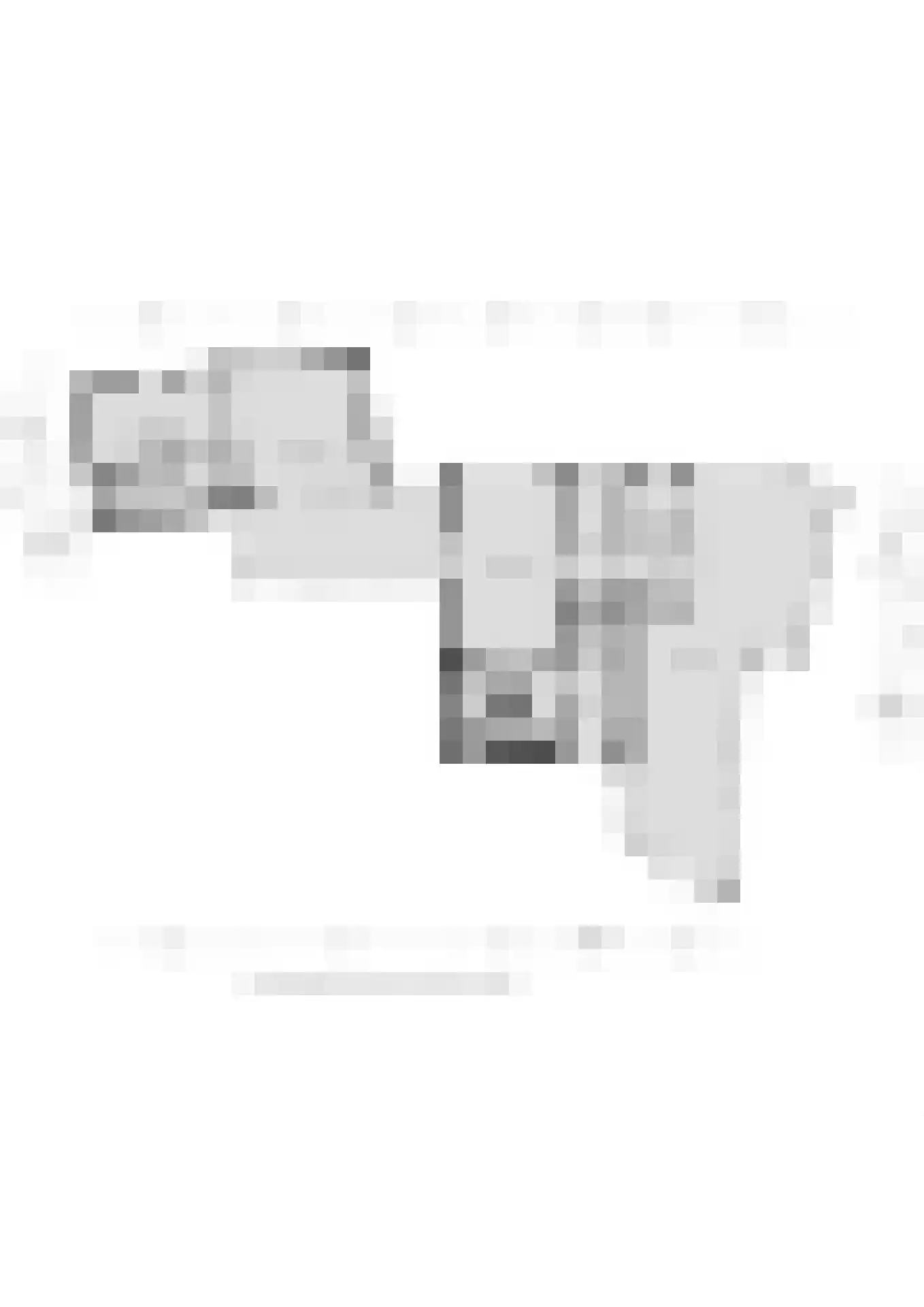 Zuiderlaan 8 Schraard thumbnail 62