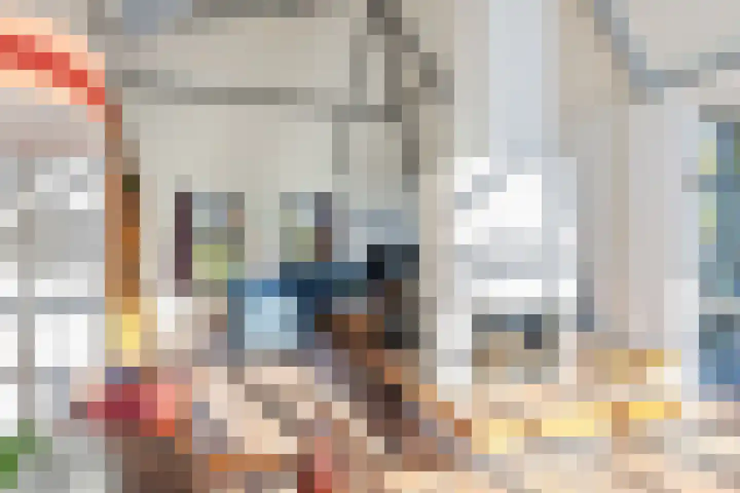 Zuiderlaan 8 Schraard thumbnail 7