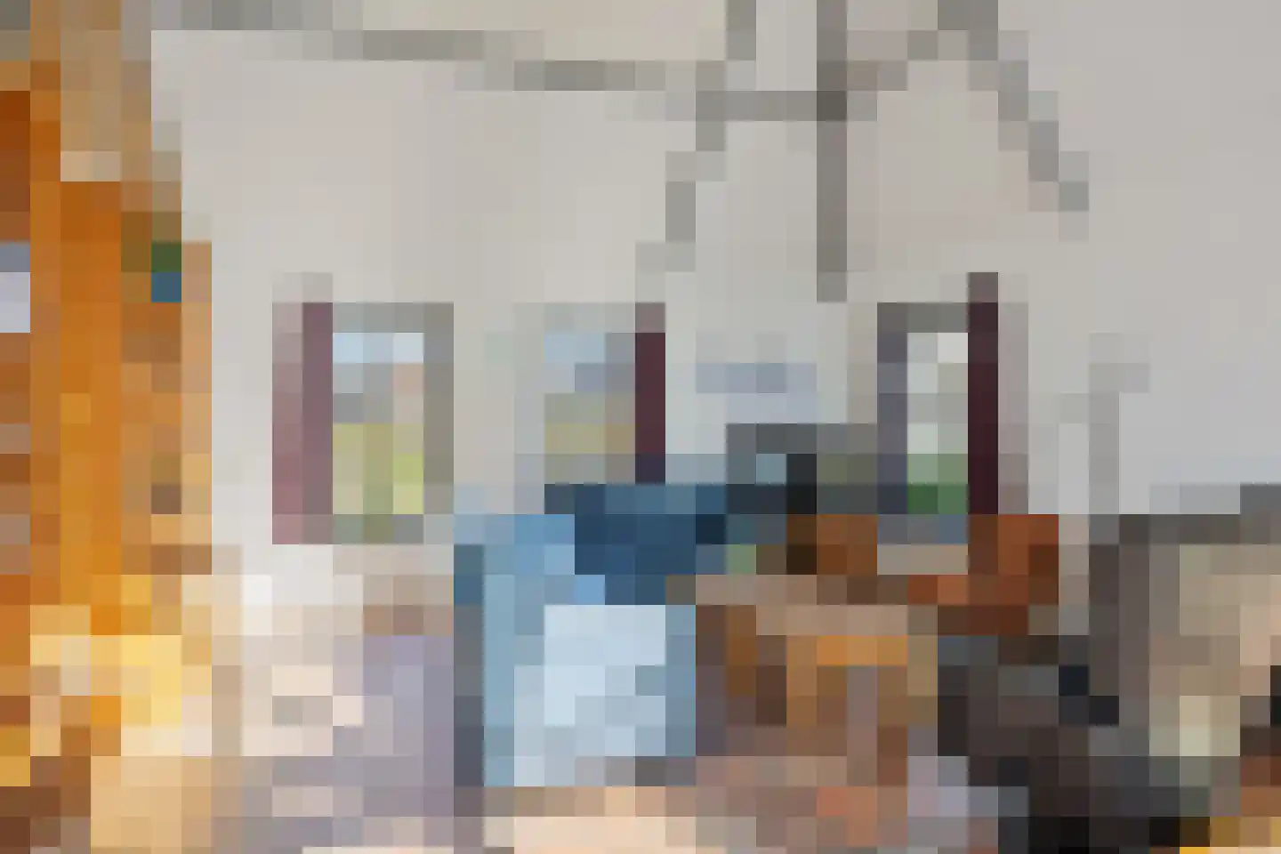 Zuiderlaan 8 Schraard thumbnail 8
