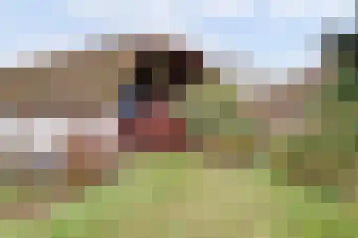 Zuiderlingedijk 135 Spijk thumbnail 12