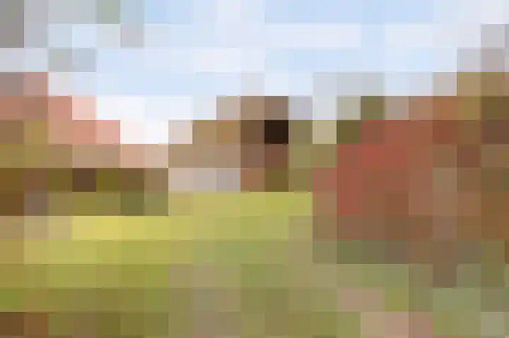 Zuiderlingedijk 135 Spijk thumbnail 15
