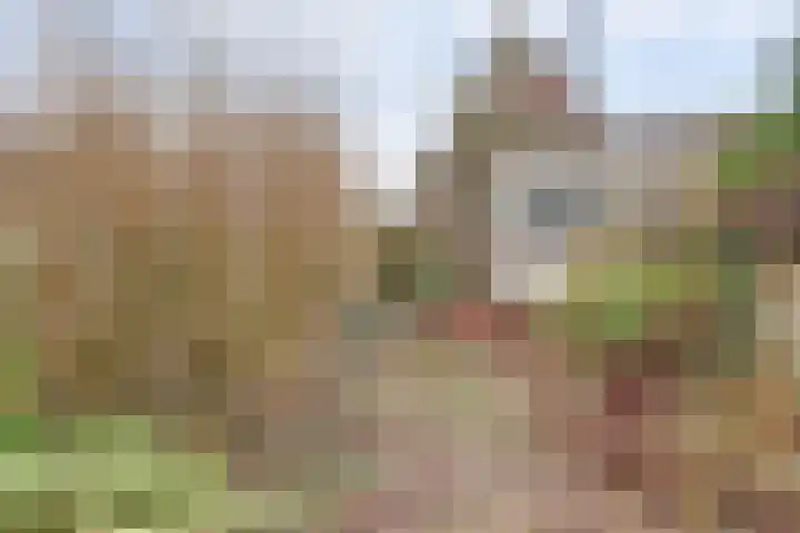 Zuiderlingedijk 135 Spijk thumbnail 19