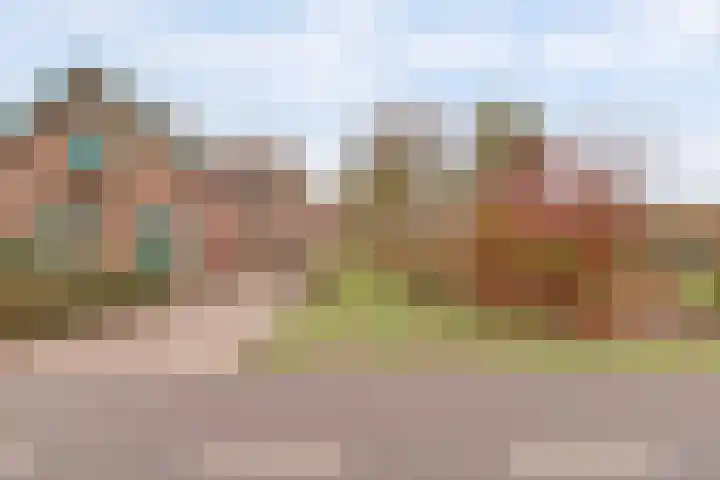 Zuiderlingedijk 135 Spijk thumbnail 20