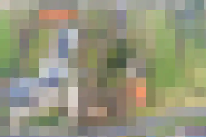 Zuiderlingedijk 135 Spijk thumbnail 28