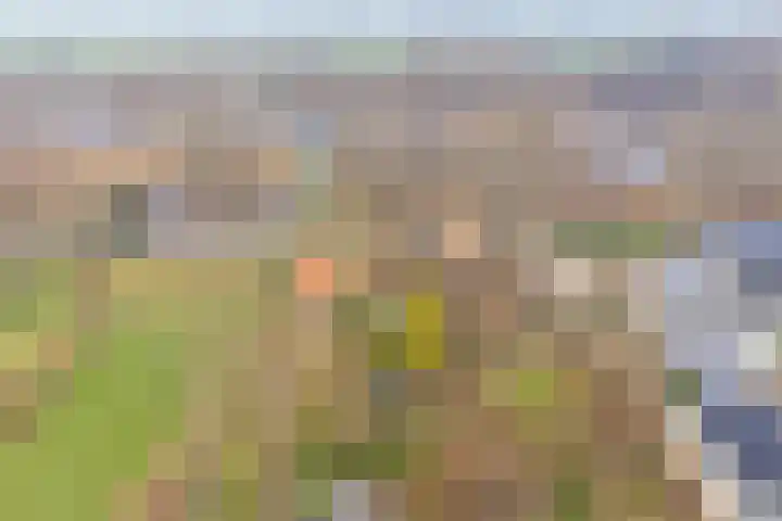 Zuiderlingedijk 135 Spijk thumbnail 31