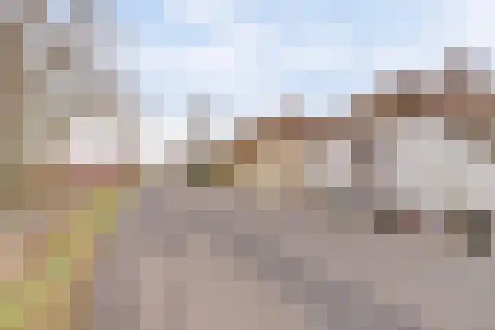 Zuiderlingedijk 135 Spijk thumbnail 5